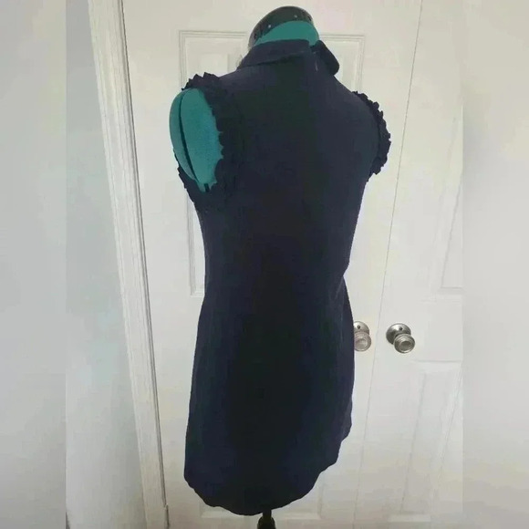 ZARA Medium Blue Sleeveless Ruffleneck Bee Appliqué Mini Dress - Picture 2 of 3